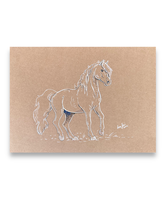Arabian horse